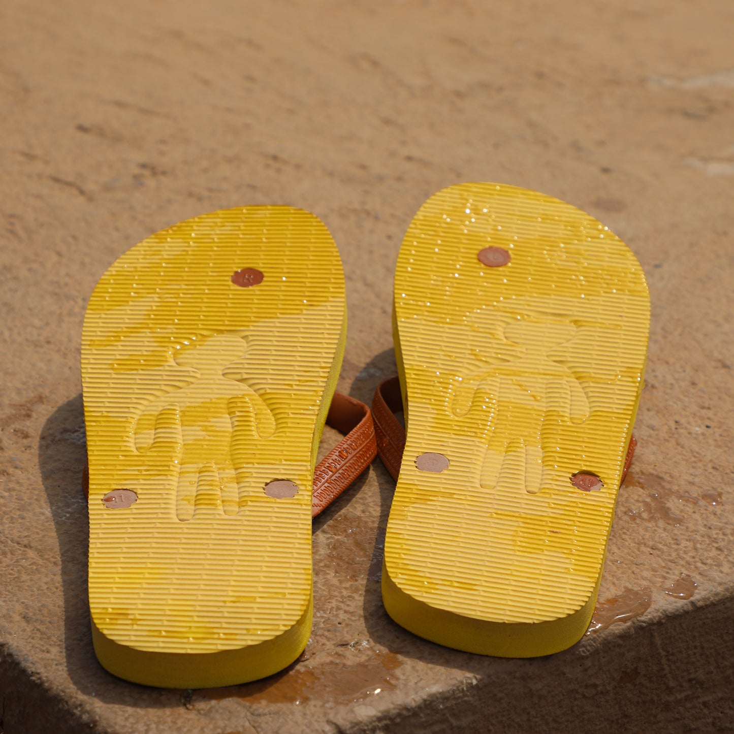 Flip Flops