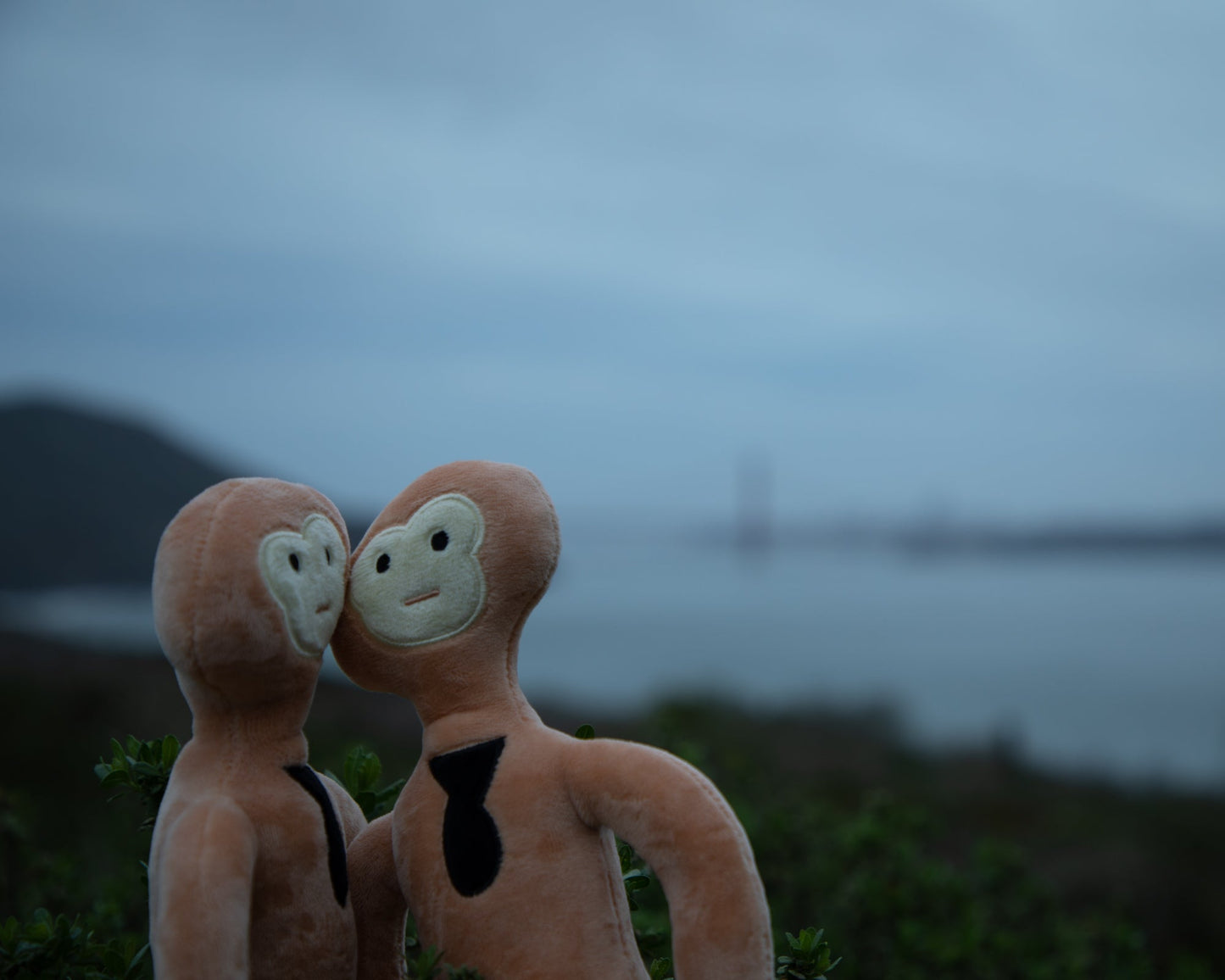 Small Monke Plush